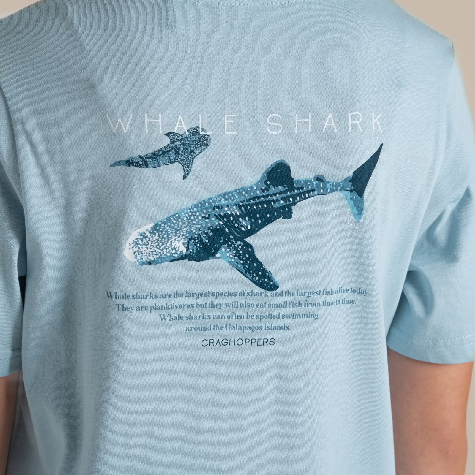 Craghoppers Kids Ellis Graphic Short Sleeve T-Shirt - Image 30