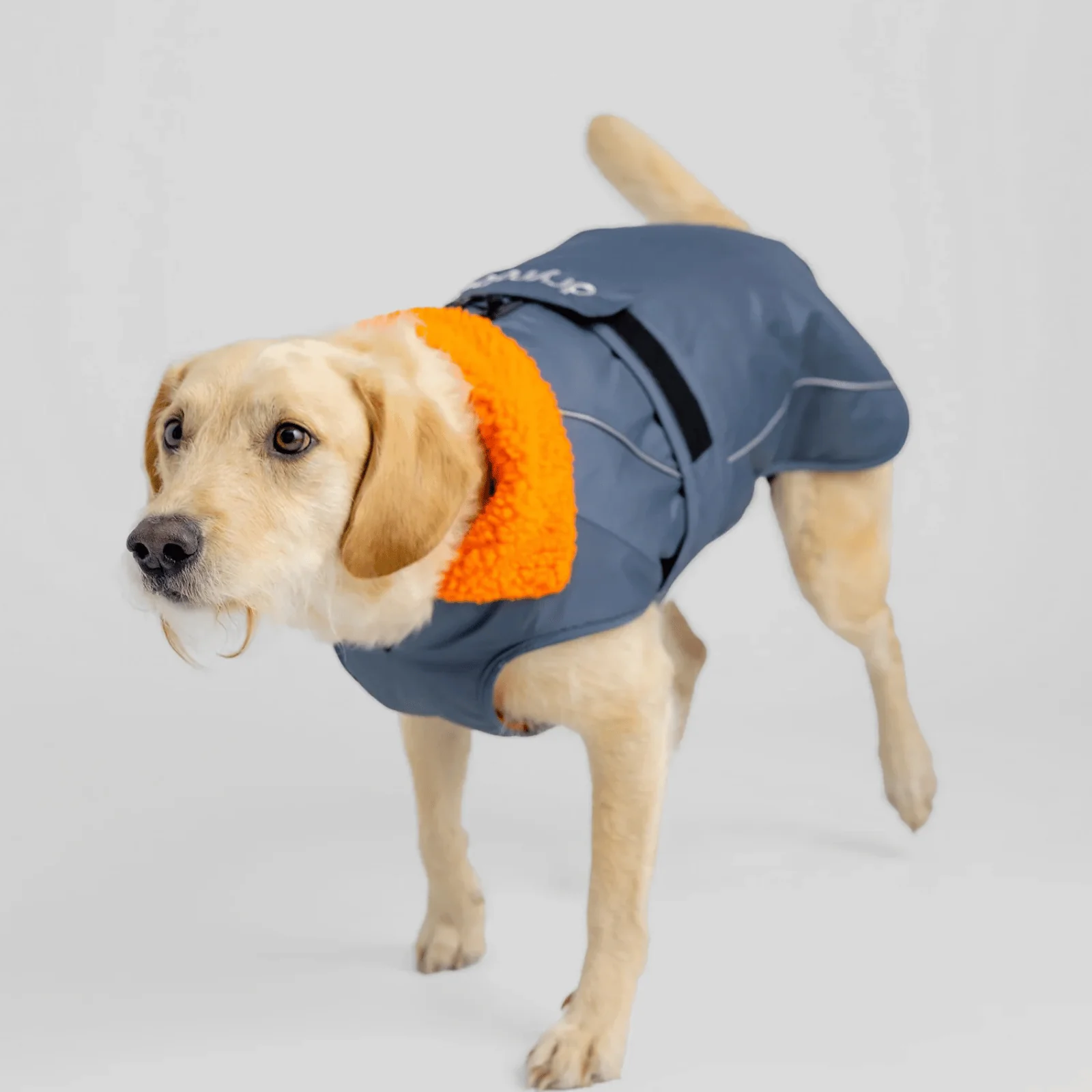 dryrobe Dog Robe Coat - Image 19