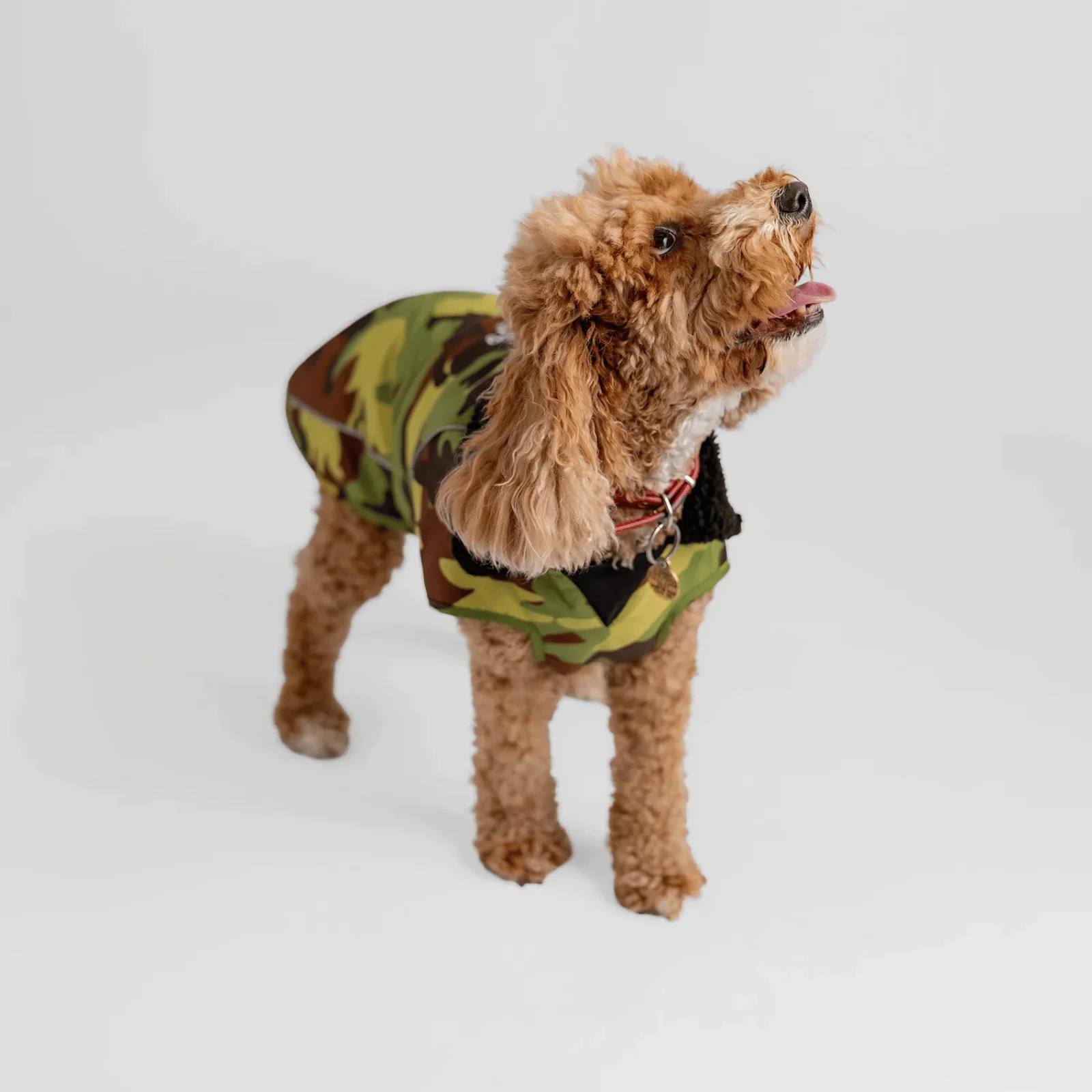 dryrobe Dog Robe Coat - Image 20
