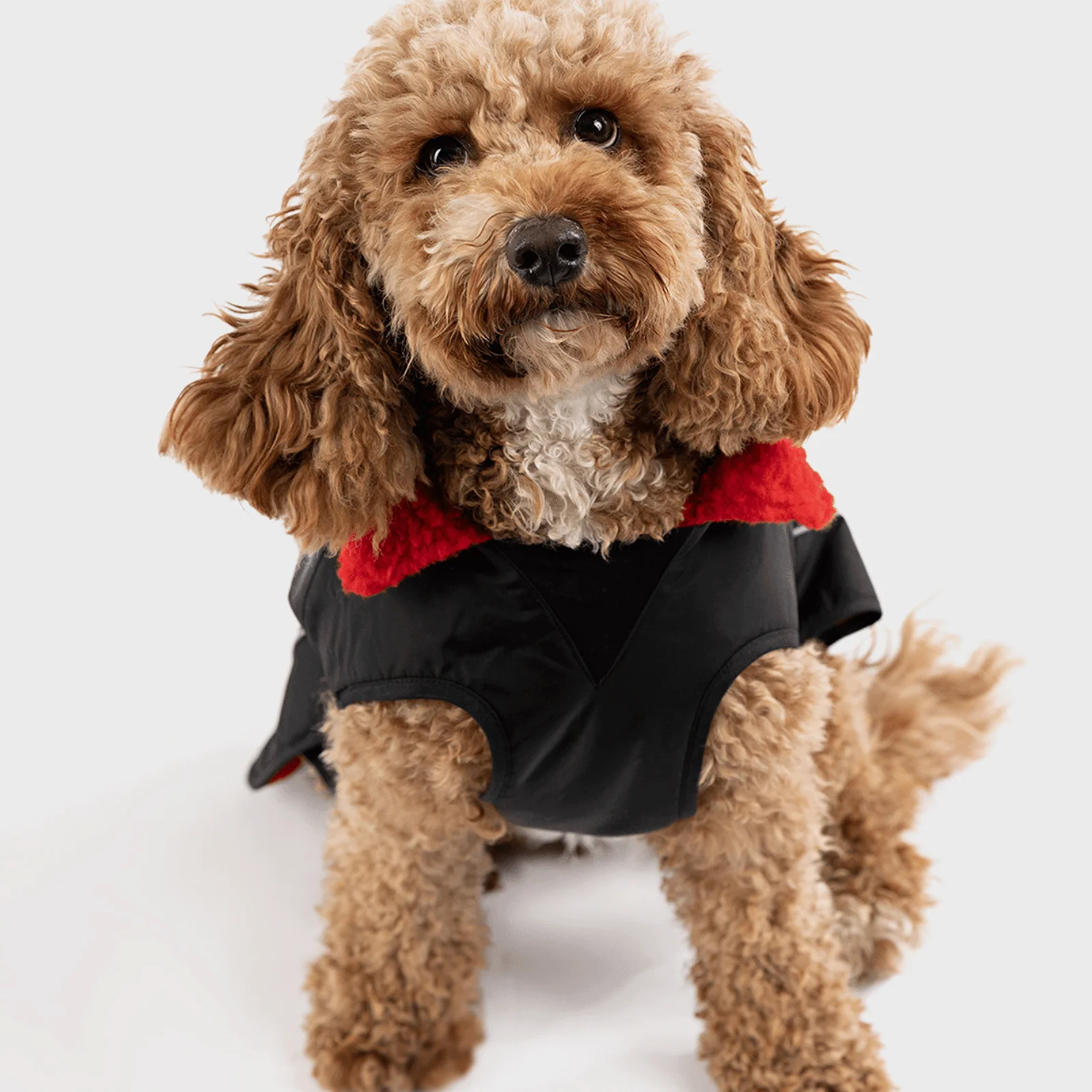 dryrobe Dog Robe Coat - Image 23
