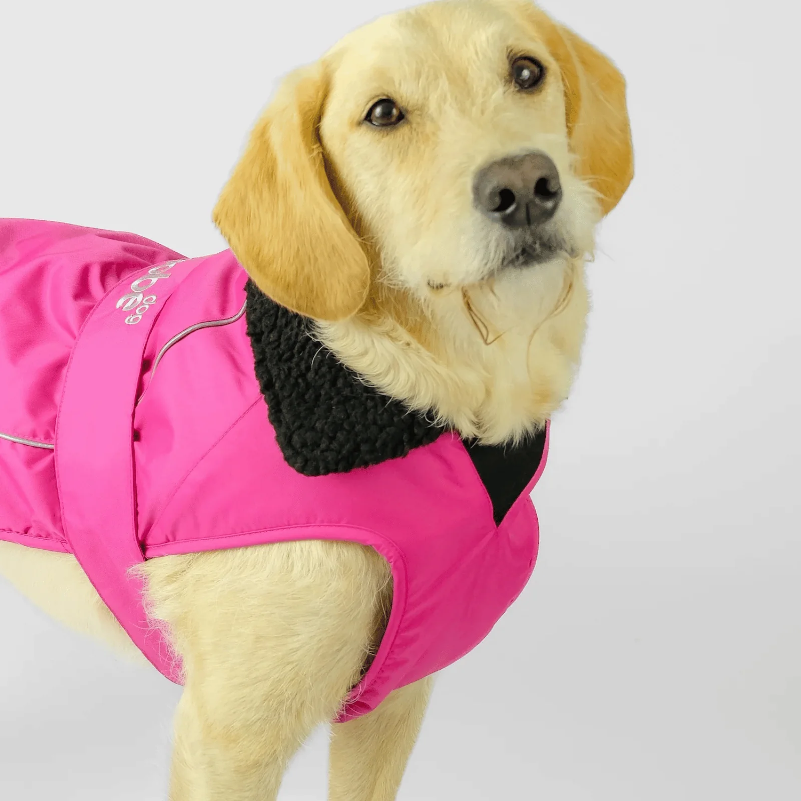 dryrobe Dog Robe Coat - Image 31