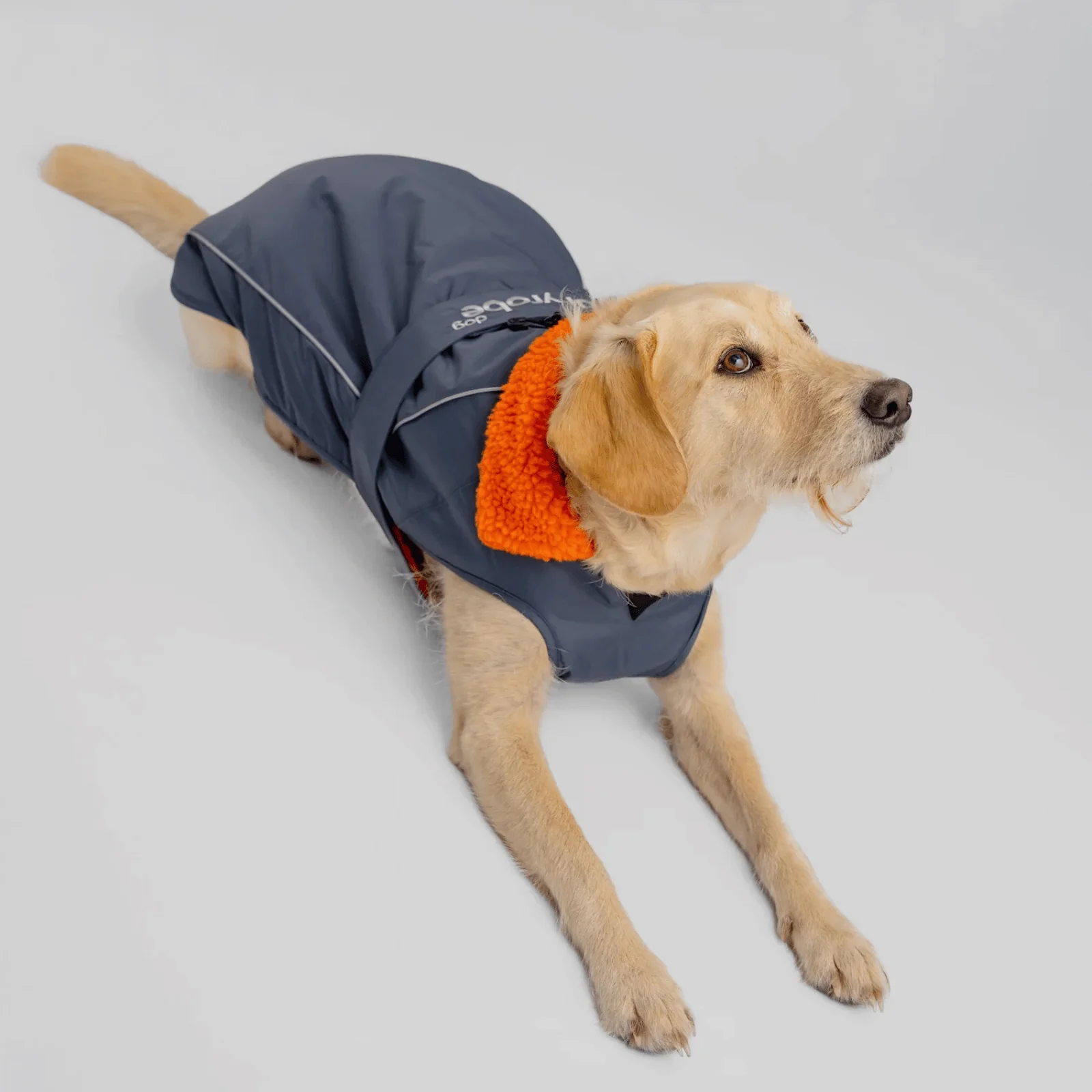dryrobe Dog Robe Coat - Image 39