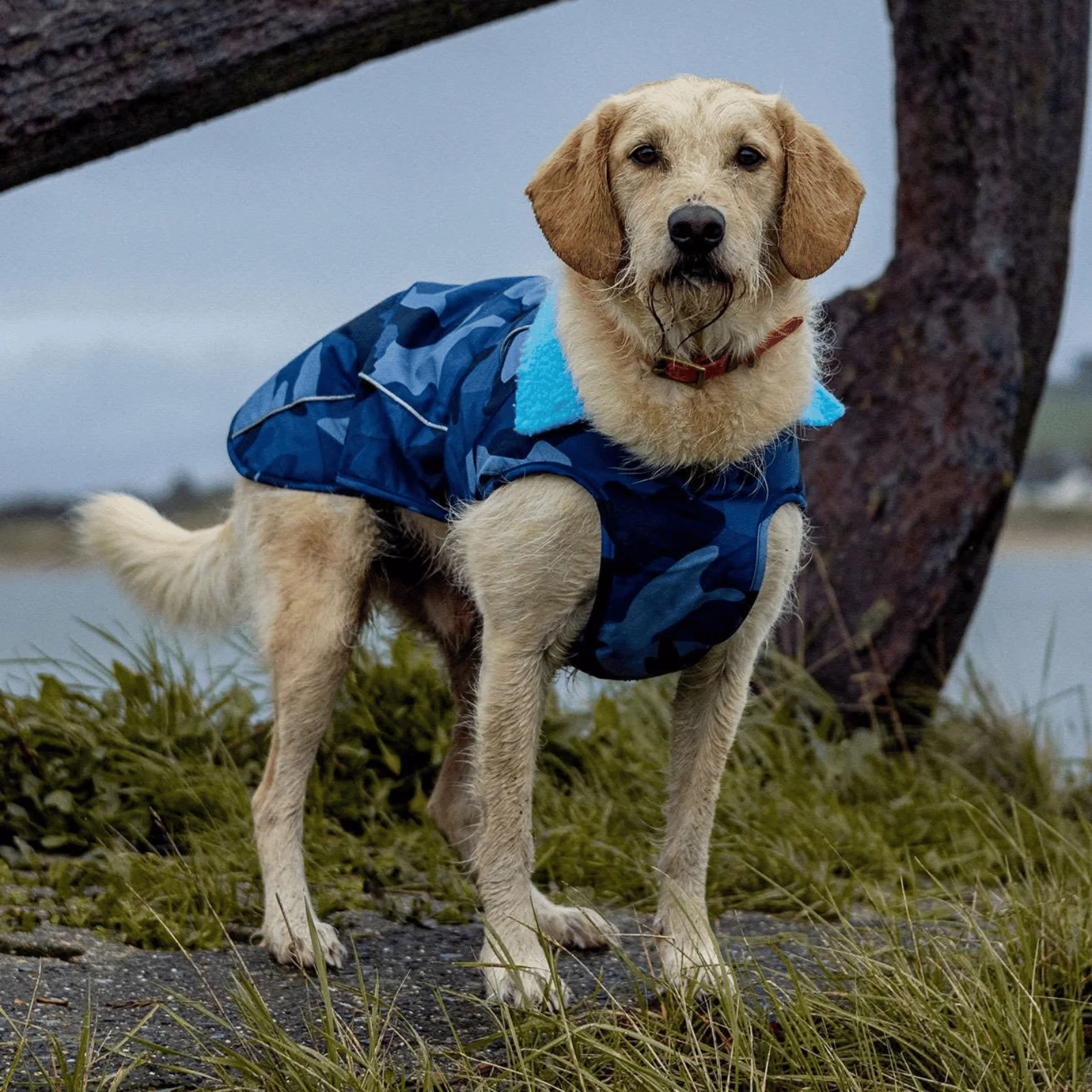 dryrobe Dog Robe Coat - Image 48