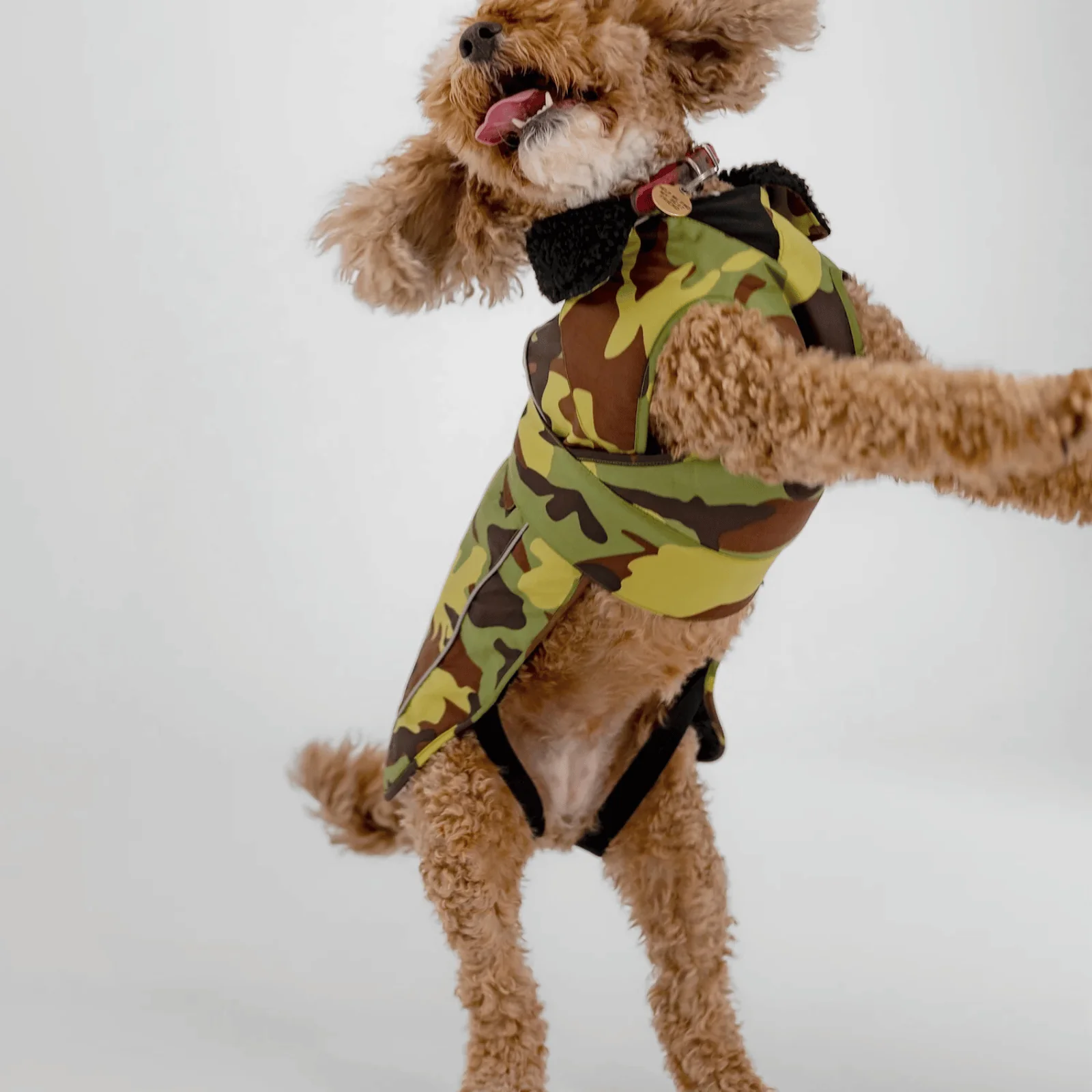 dryrobe Dog Robe Coat - Image 50