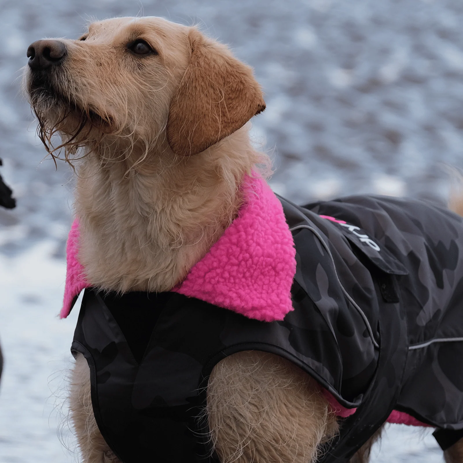 dryrobe Dog Robe Coat - Image 52