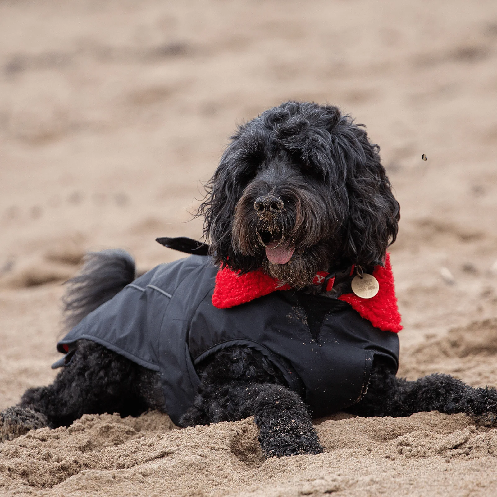 dryrobe Dog Robe Coat - Image 53