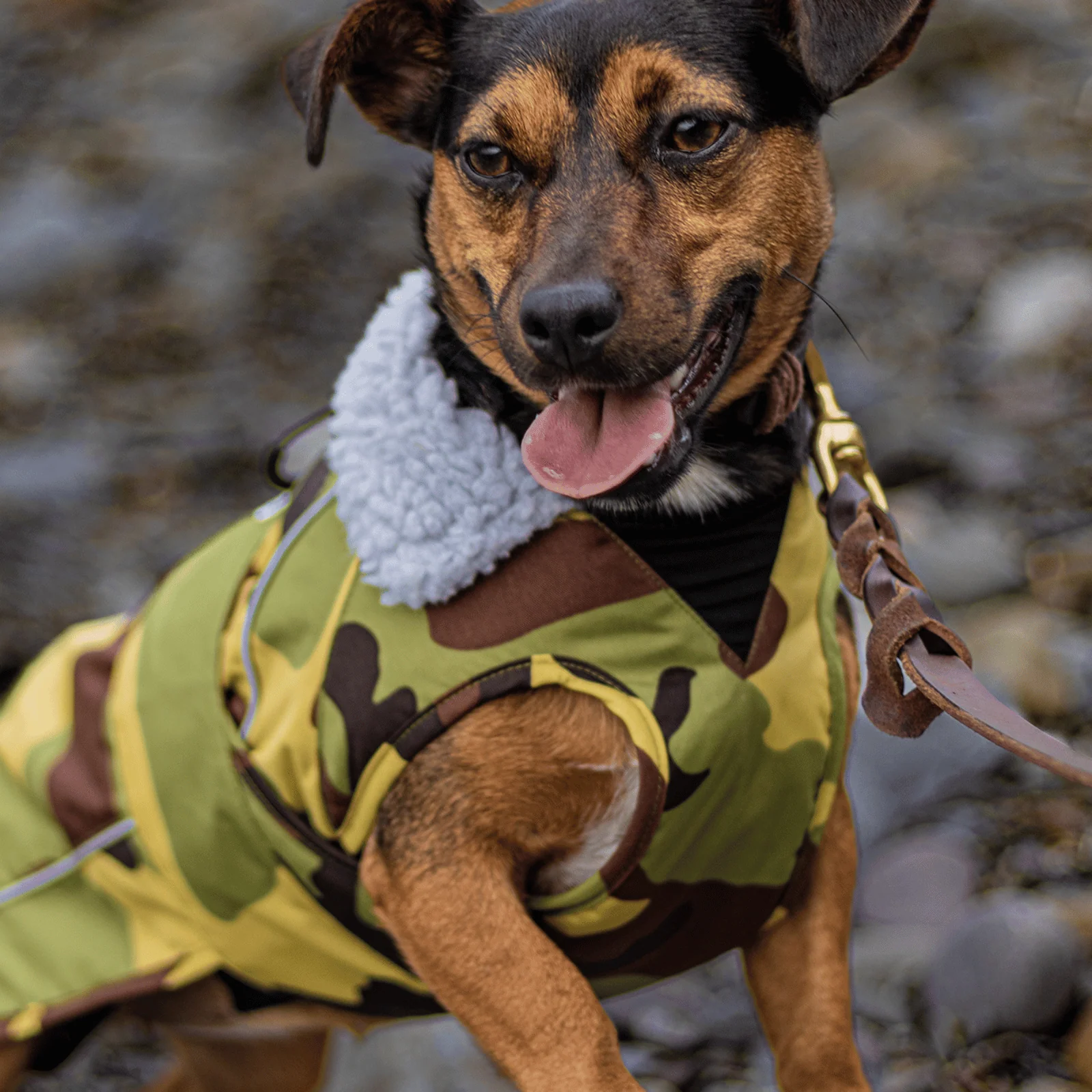 dryrobe Dog Robe Coat - Image 55