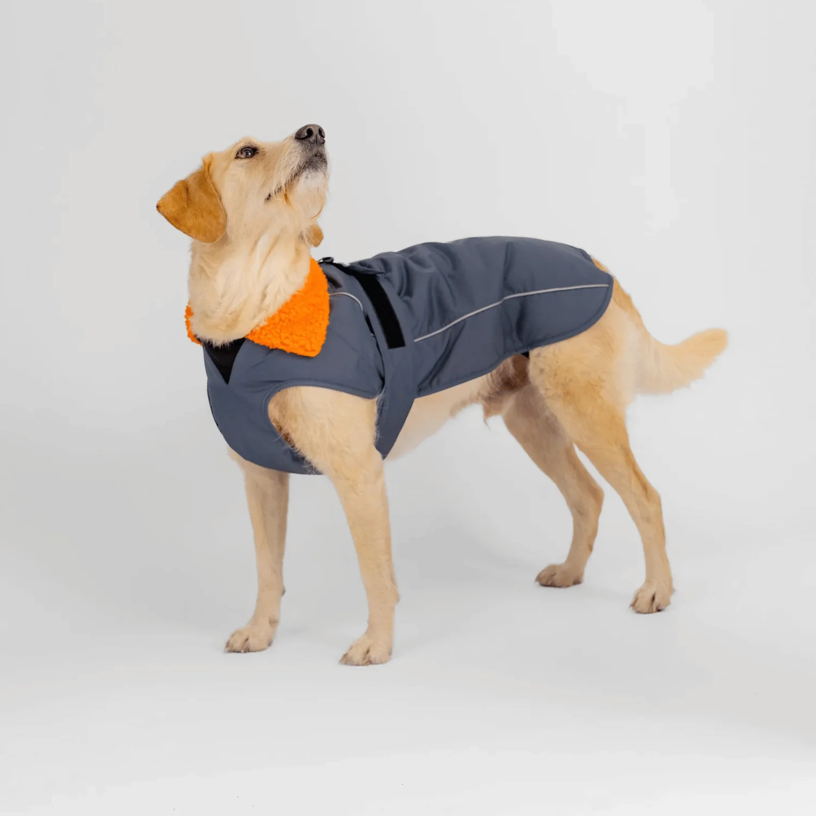dryrobe Dog Robe Coat - Image 59
