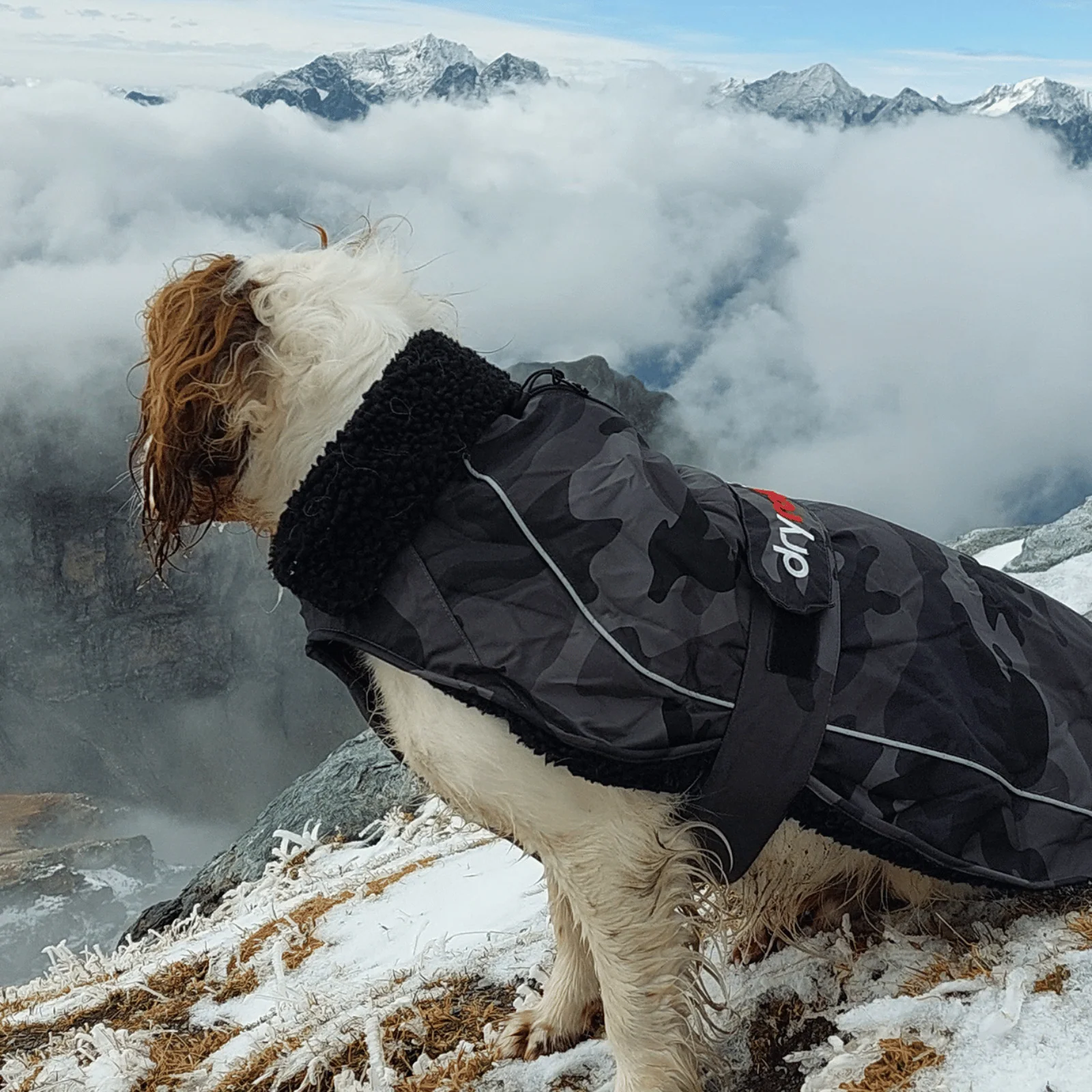 dryrobe Dog Robe Coat - Image 64