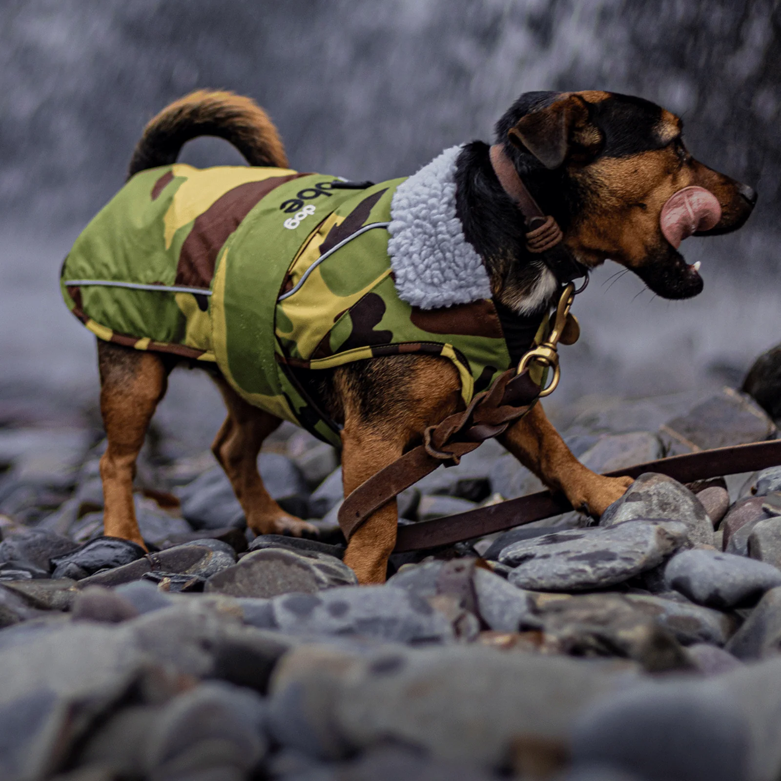 dryrobe Dog Robe Coat - Image 65