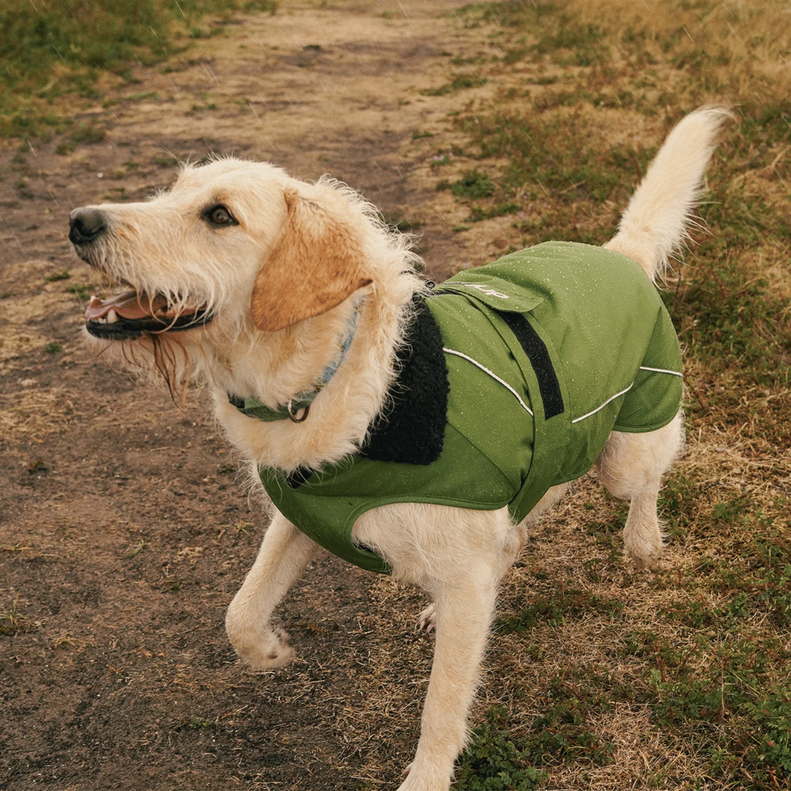 dryrobe Dog Robe Coat - Image 67