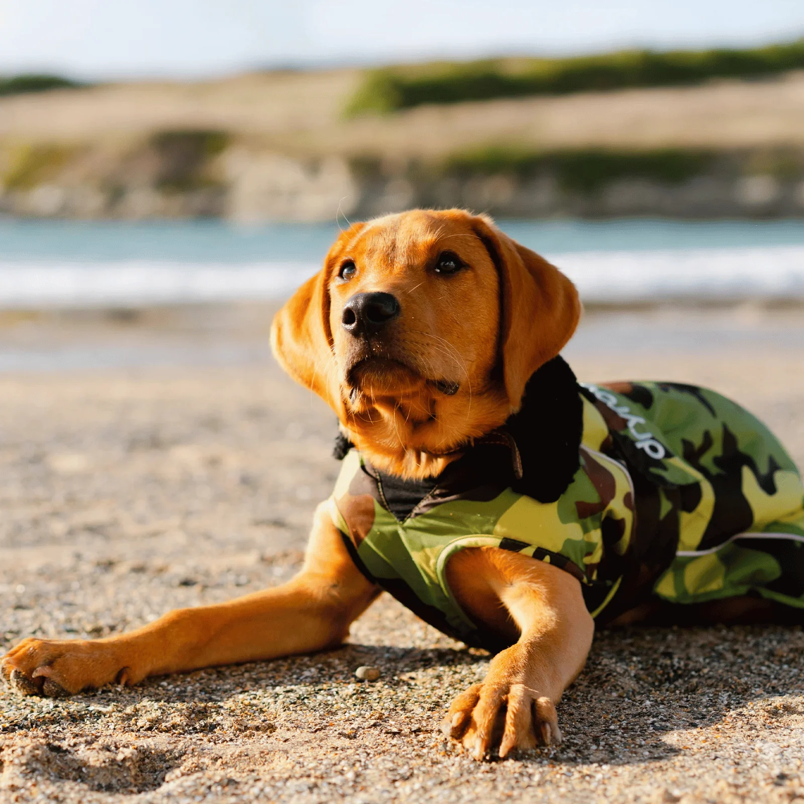 dryrobe Dog Robe Coat - Image 69