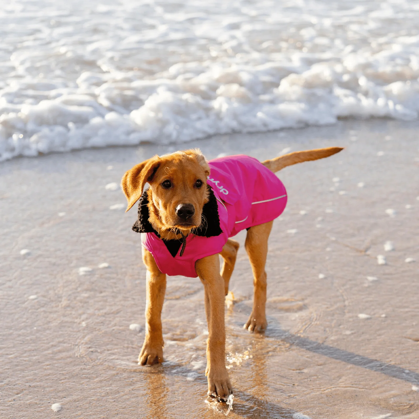 dryrobe Dog Robe Coat - Image 70