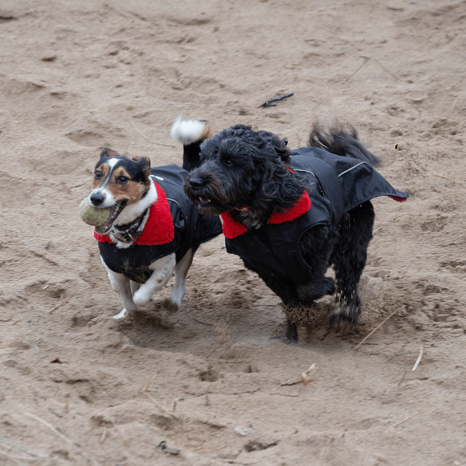 dryrobe Dog Robe Coat - Image 71