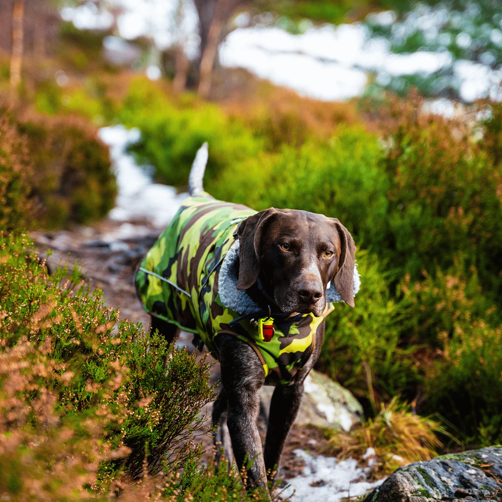 dryrobe Dog Robe Coat - Image 73
