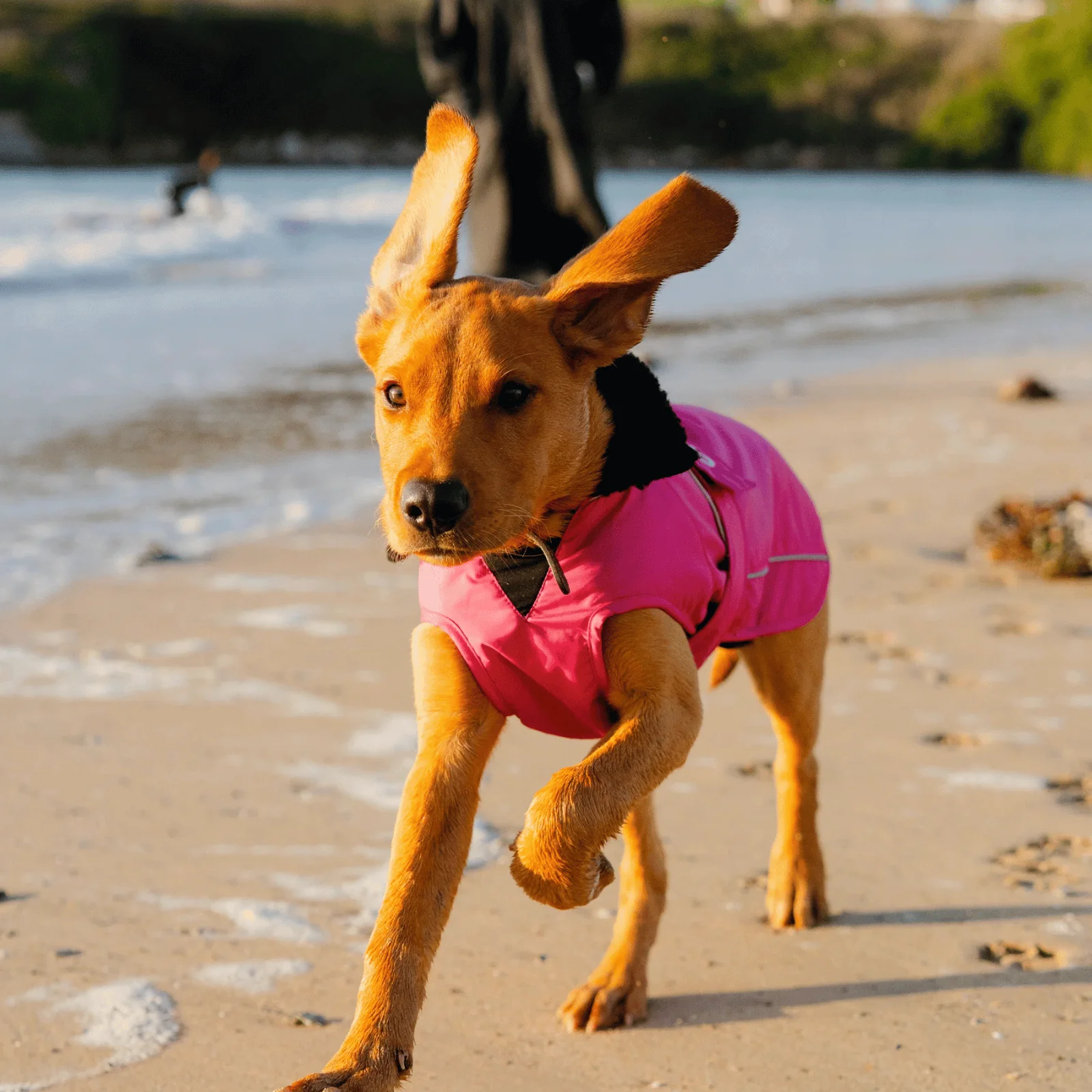 dryrobe Dog Robe Coat - Image 75
