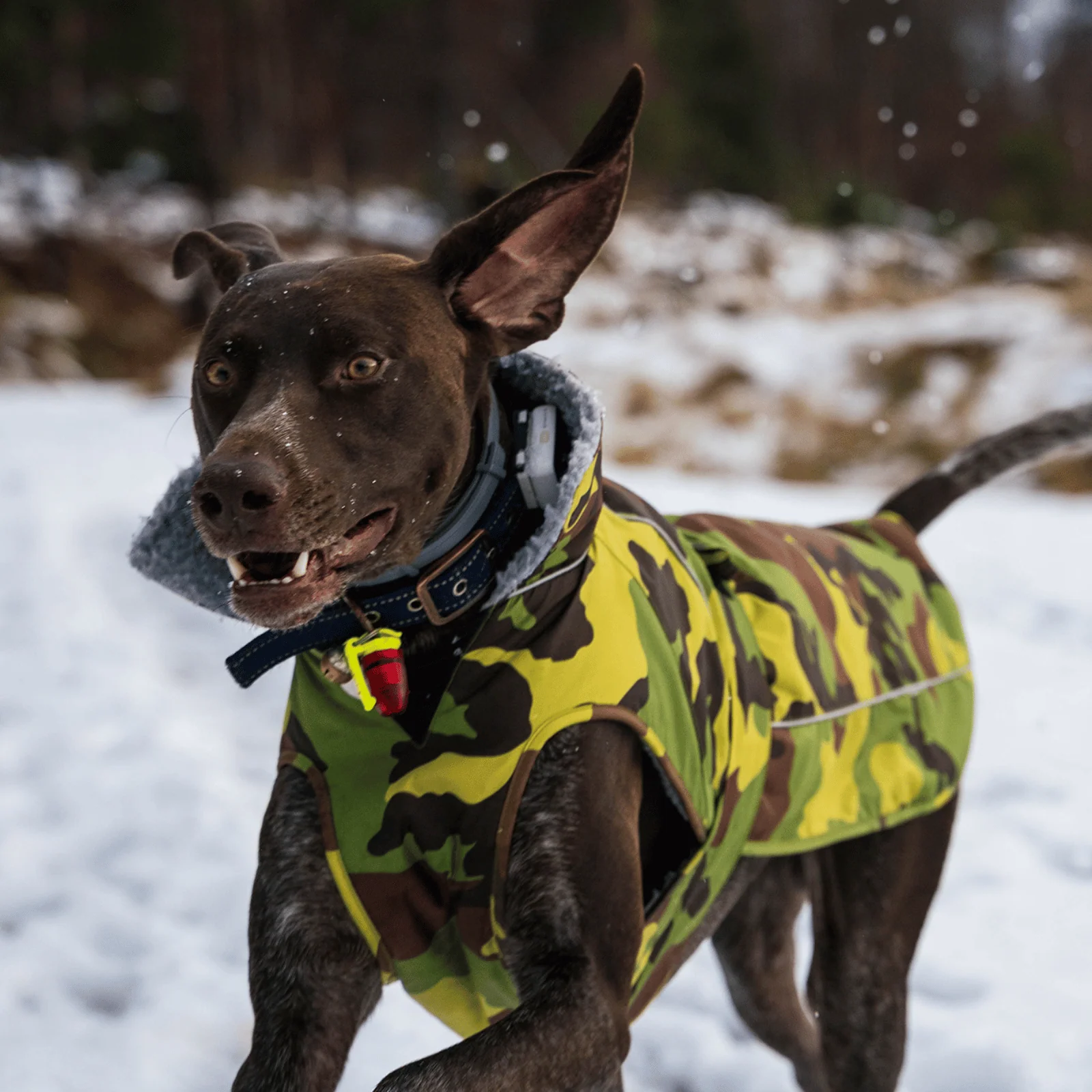 dryrobe Dog Robe Coat - Image 76
