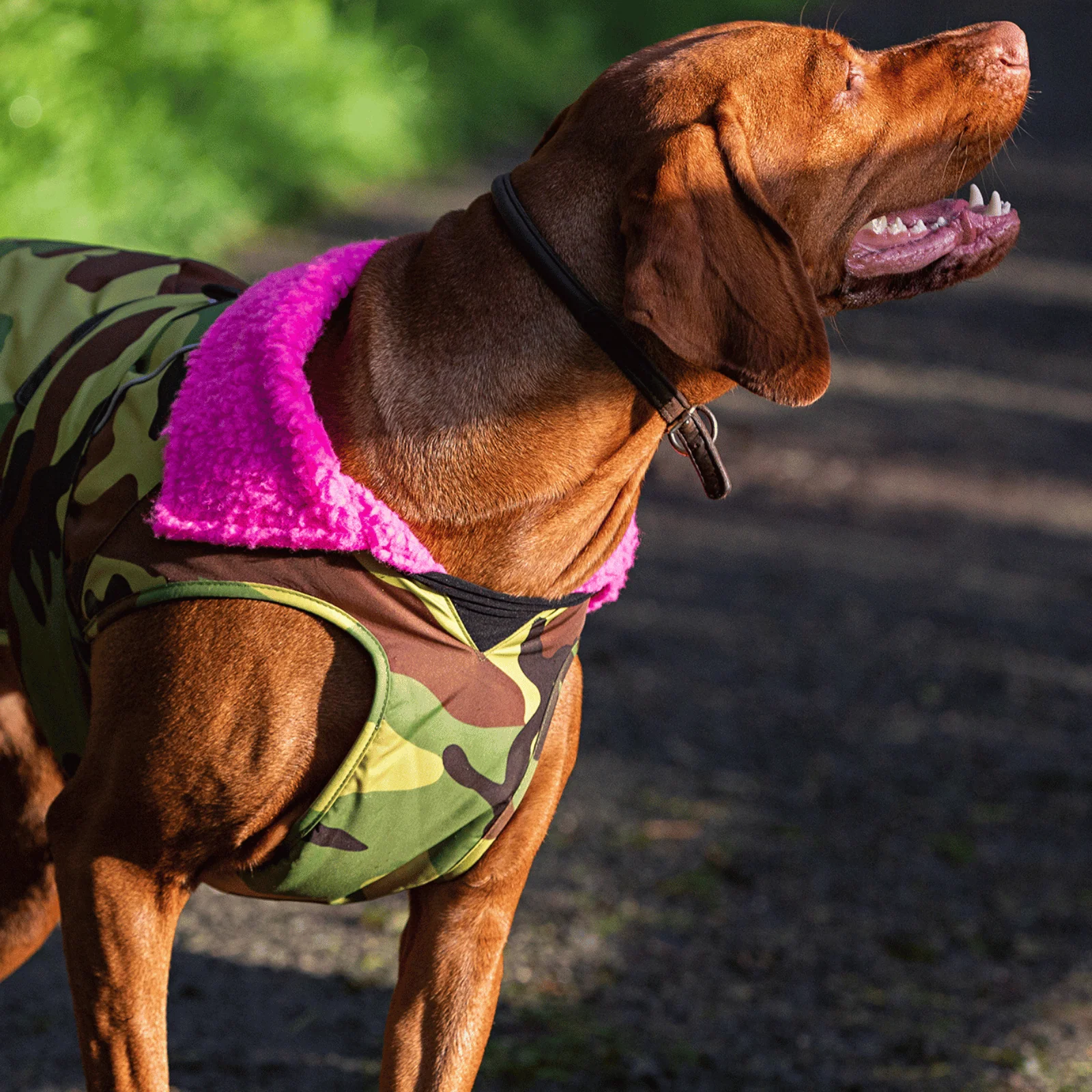 dryrobe Dog Robe Coat - Image 77