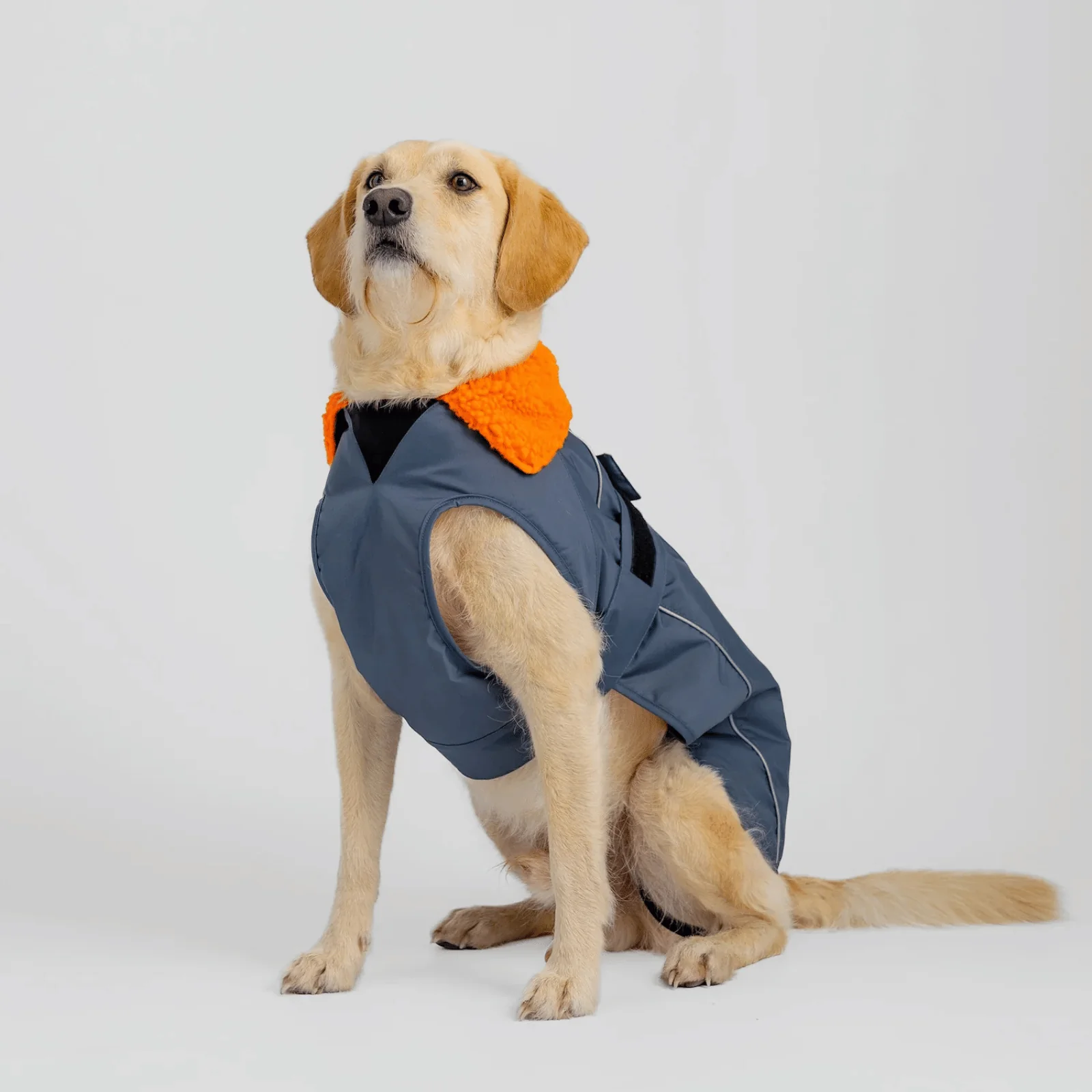 dryrobe Dog Robe Coat - Image 9