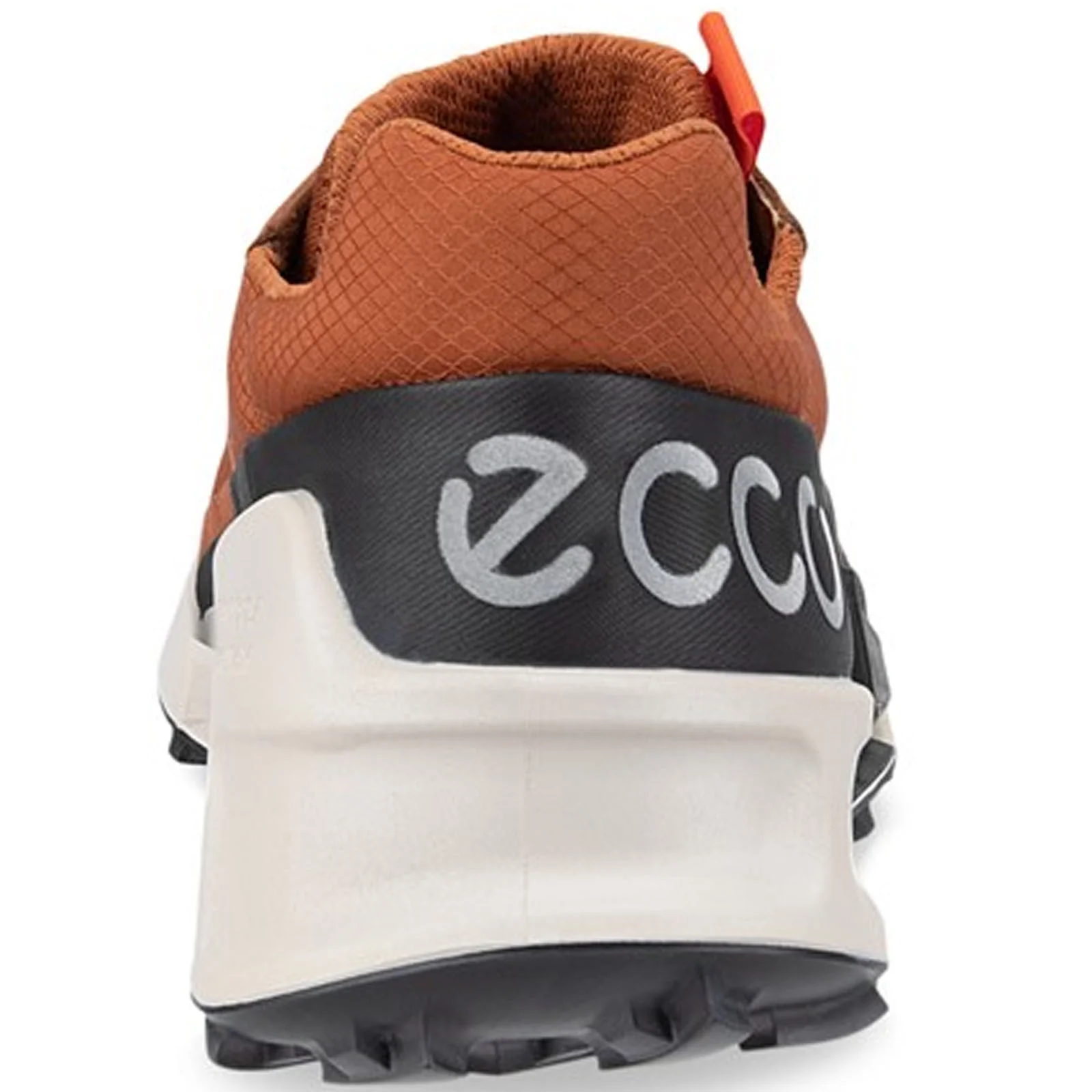 ECCO Mens BIOM 2.1 X Country GORE-TEX Trainers - Image 29