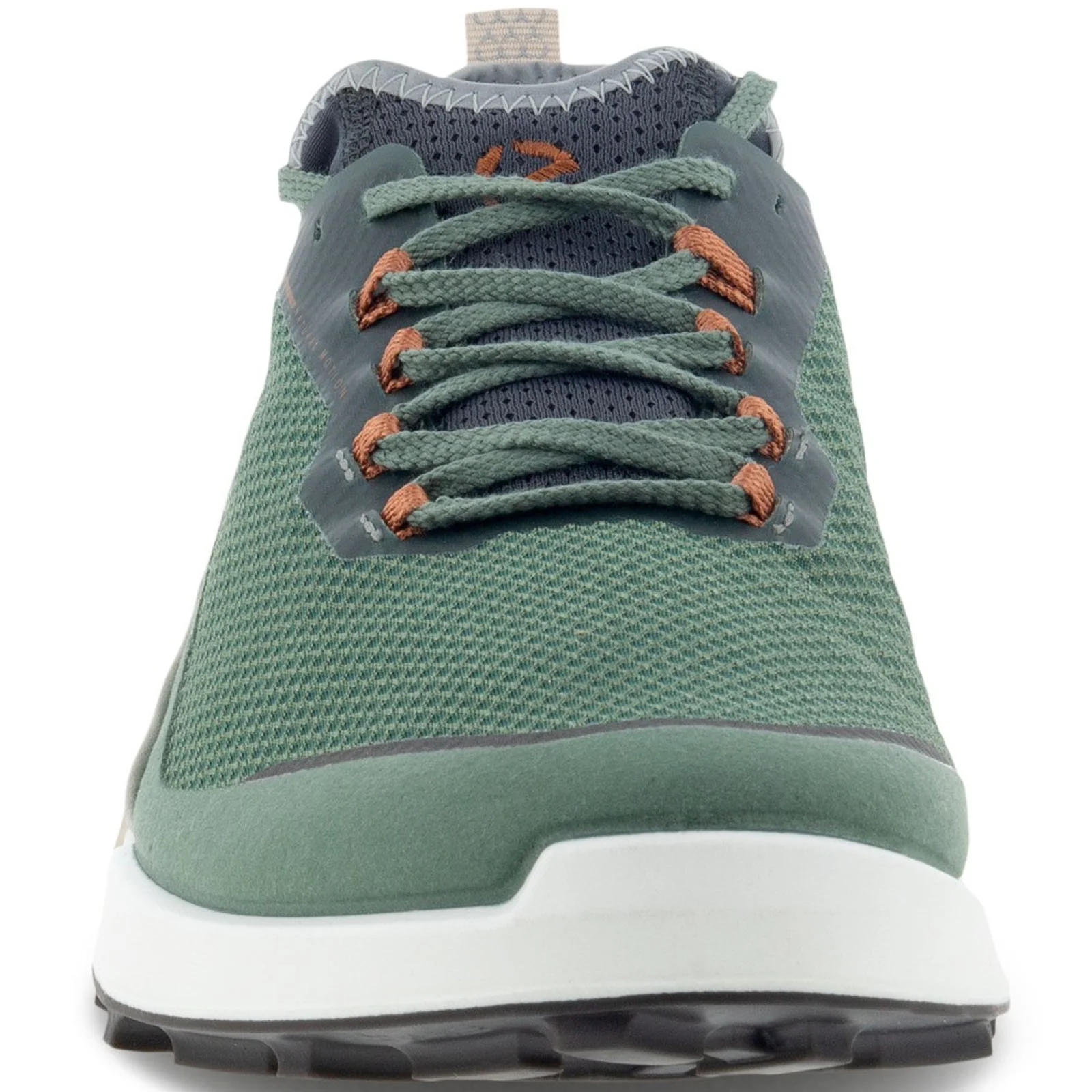 ECCO Mens Biom 2.1 X Country Low Rise Trainers - Image 10