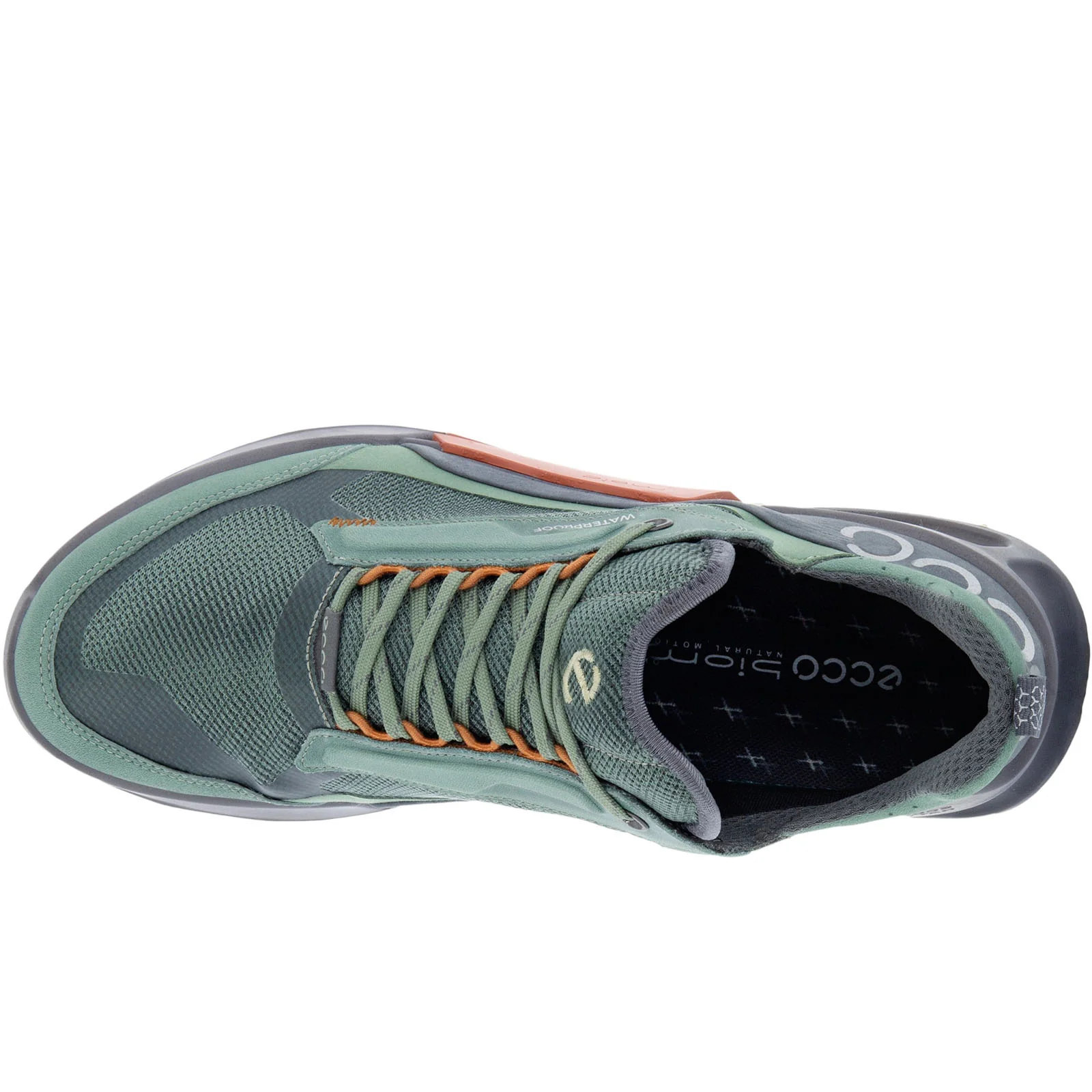 ECCO Mens Biom 2.1 X Mountain Waterproof Hiking Trainers - Image 13