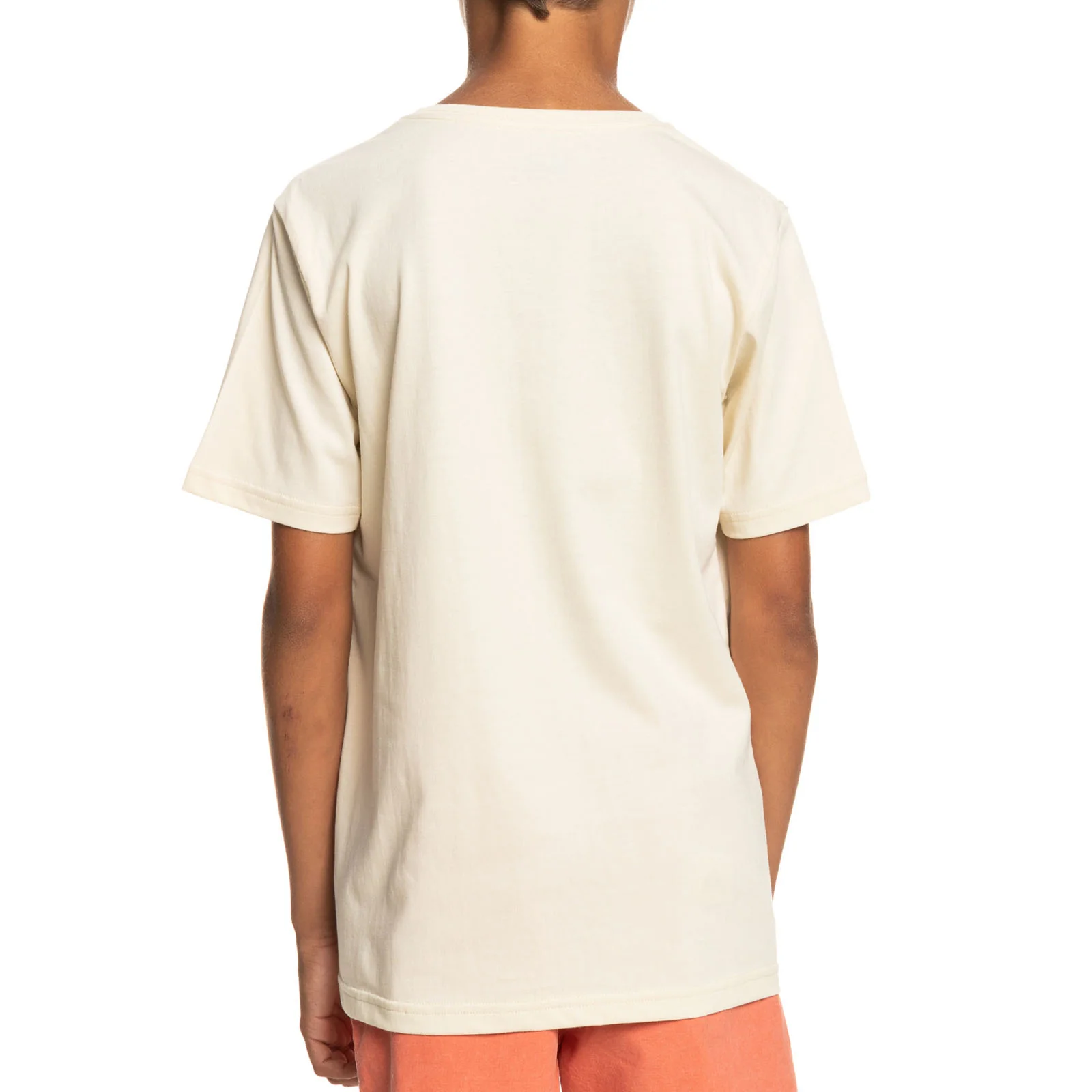 Quiksilver Kids Surfadelica Stripe Crew Neck T-Shirt - Image 5
