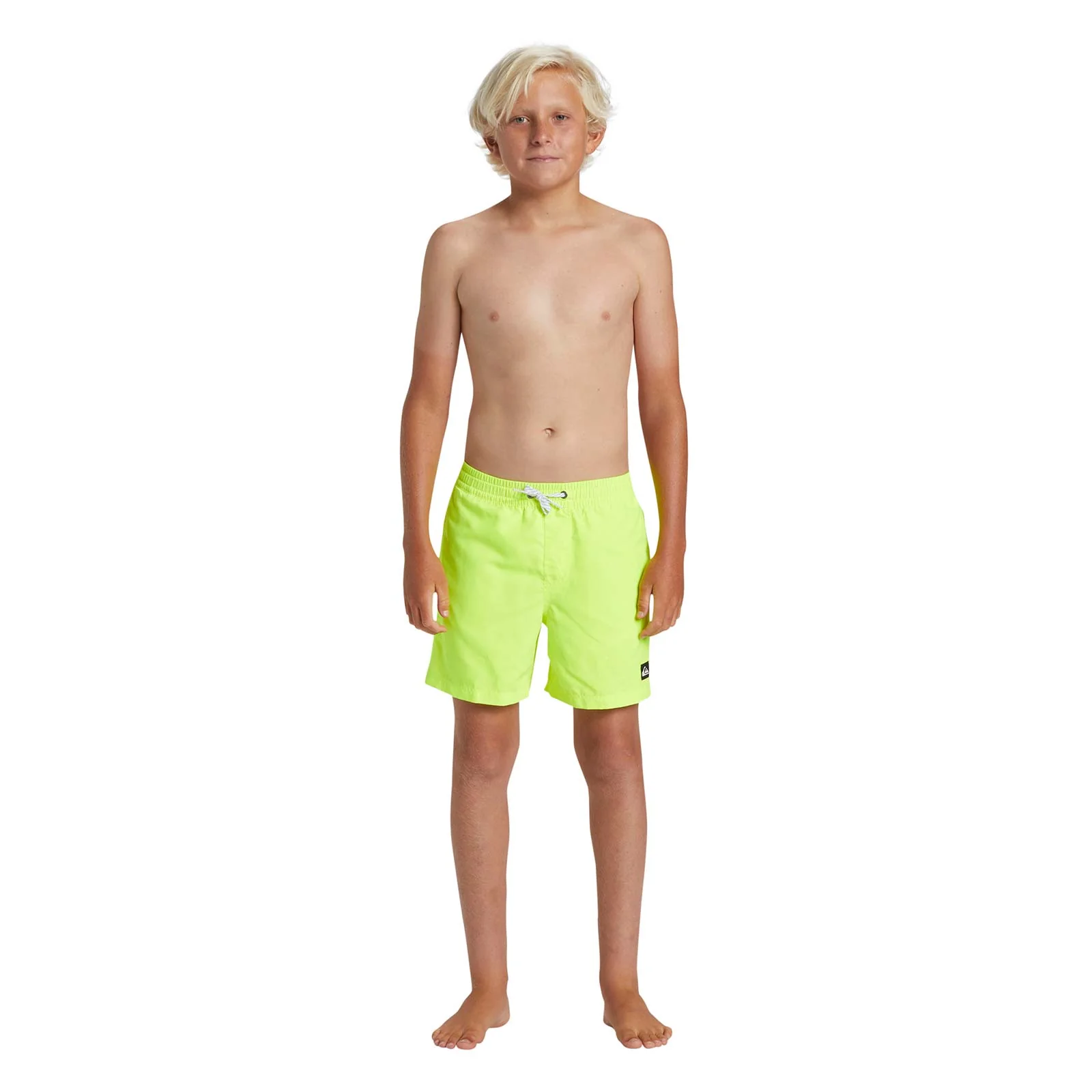 Quiksilver Kids Everyday 14" Swim Shorts - Image 29