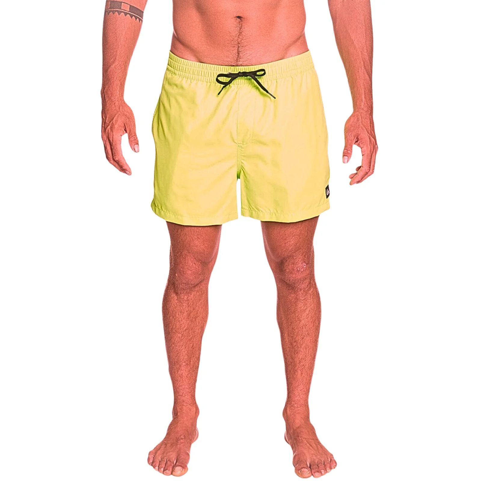 Quiksilver Mens Everyday 15" Swim Shorts - Image 16