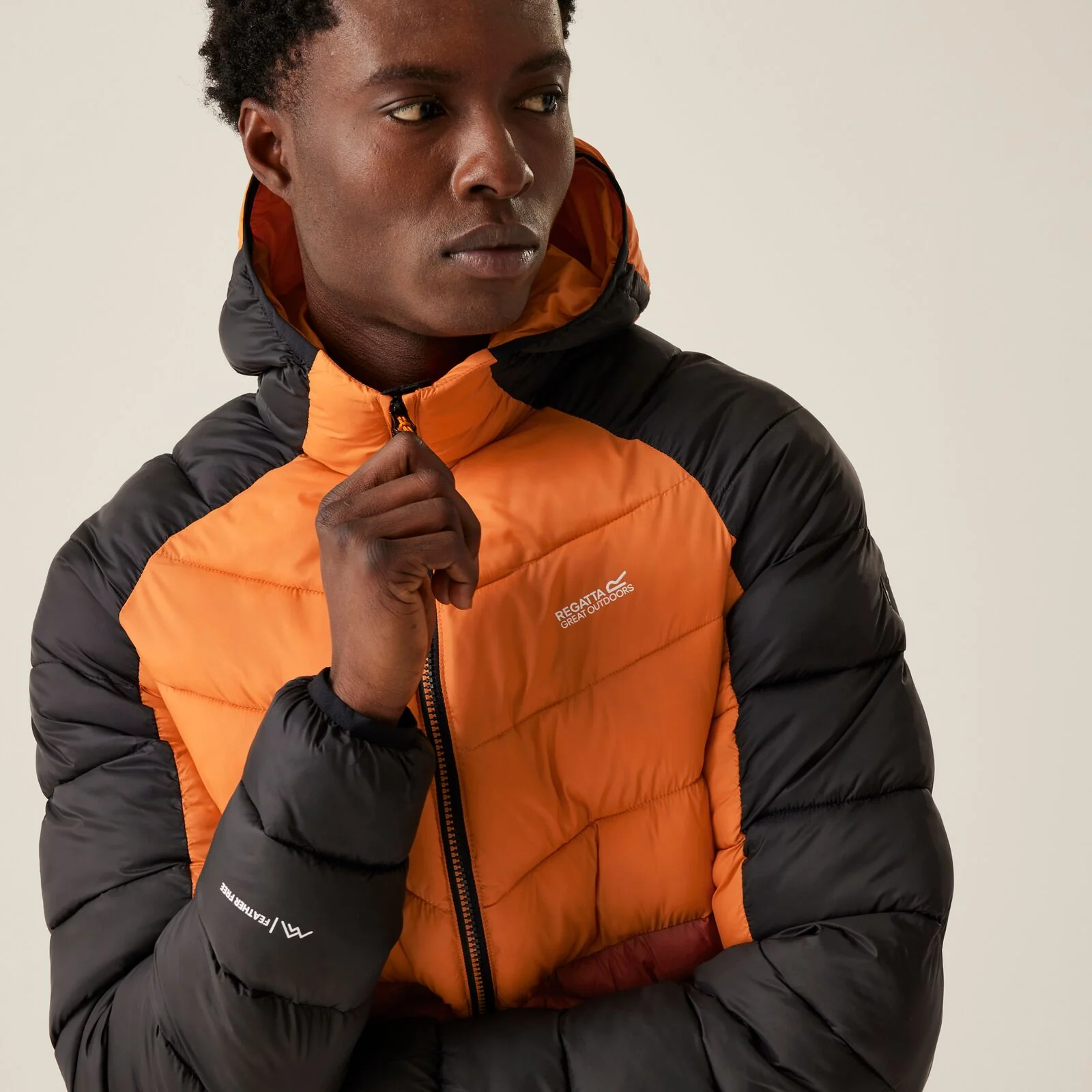 Regatta Mens Hooded Dalent Padded Jacket - Image 8