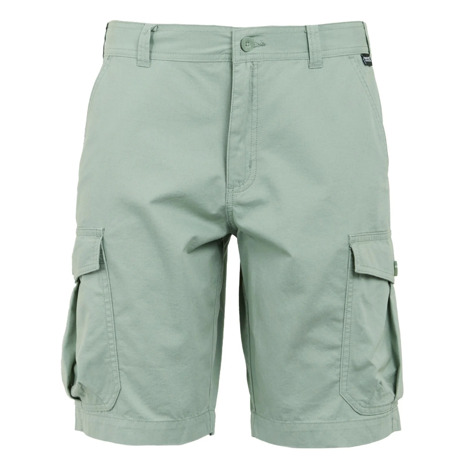Regatta Mens Ruwan Cargo Shorts - Image 24