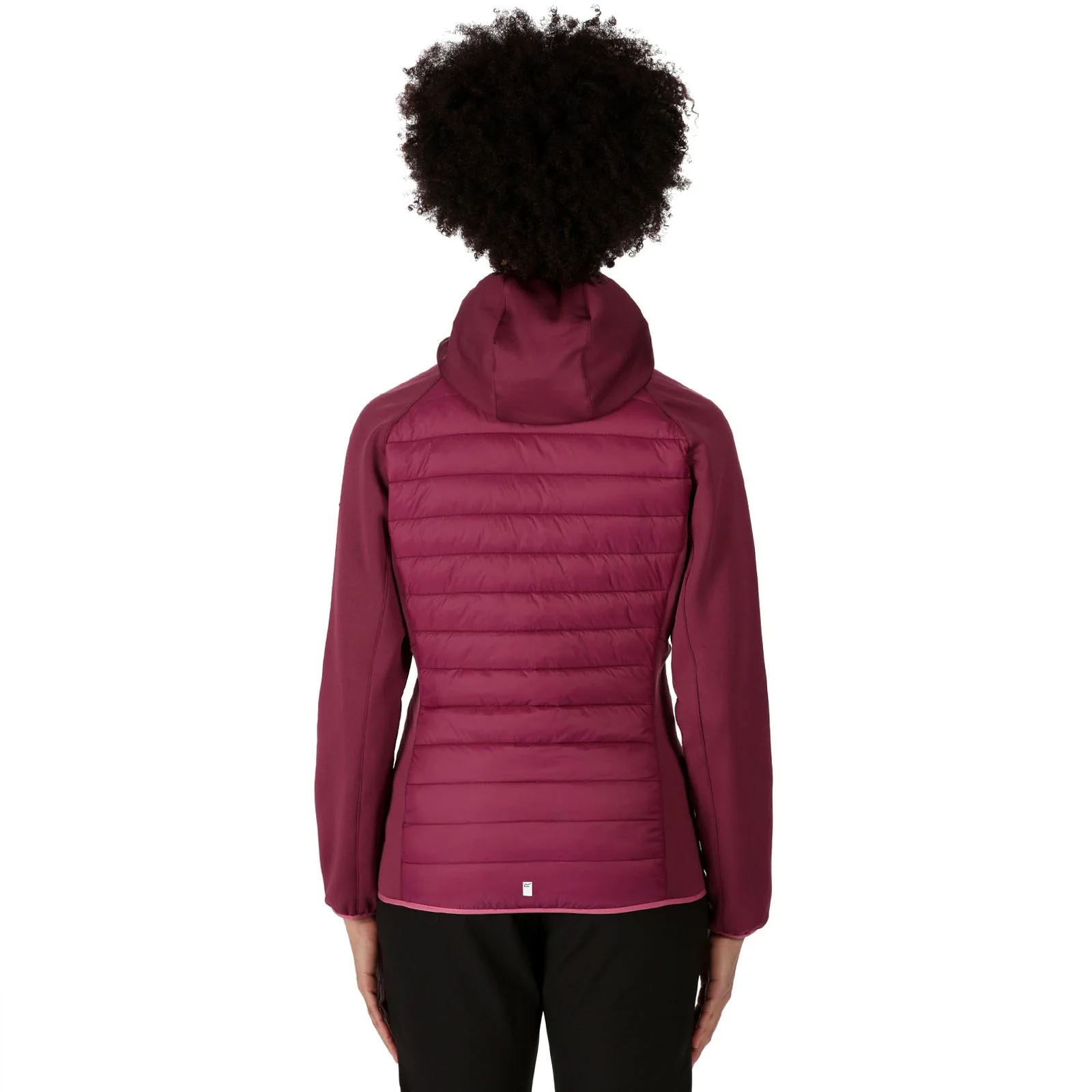 Regatta Womens Andreson VII Hybrid Stretch Jacket - Image 8
