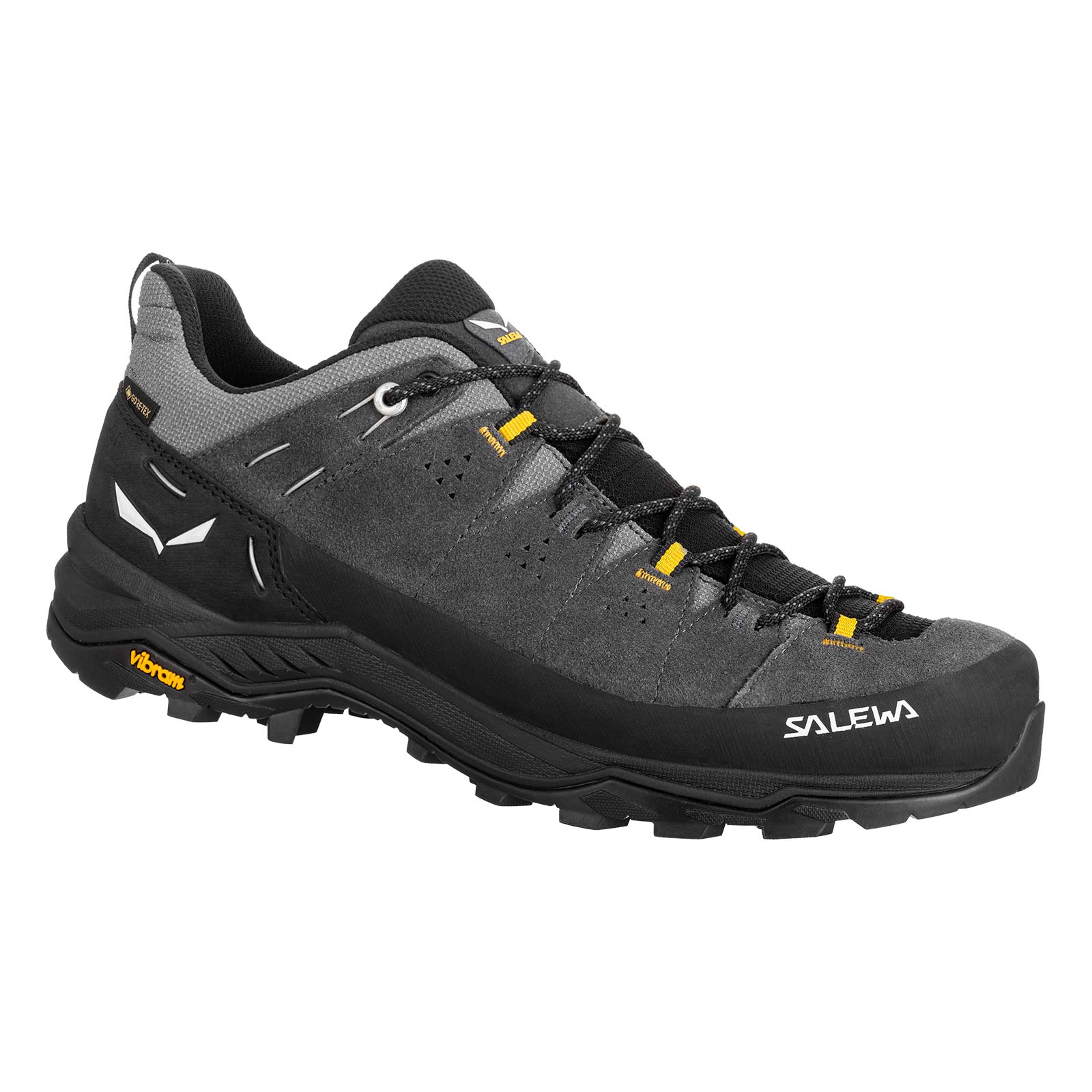Salewa Mens Alp Trainer 2 GORE-TEX Walking Shoe - Image 2