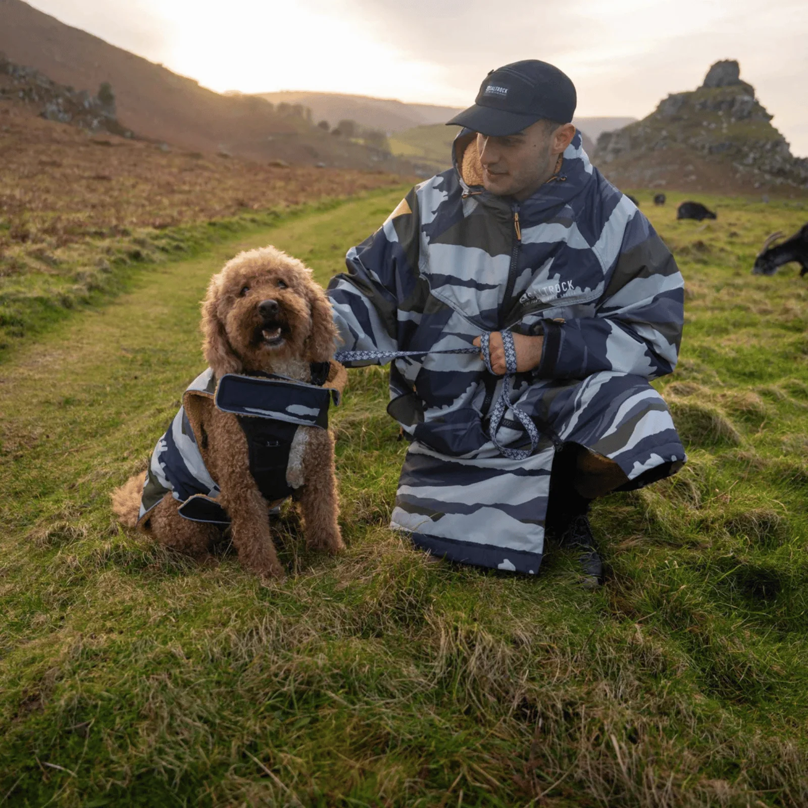 Saltrock Waga Equinox Dog Jacket - Image 5