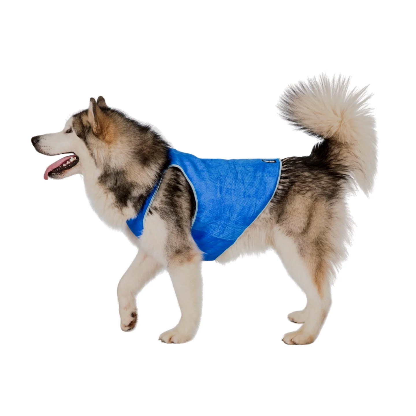 Trespaws Alaska Dog Cooling Vest - Image 7