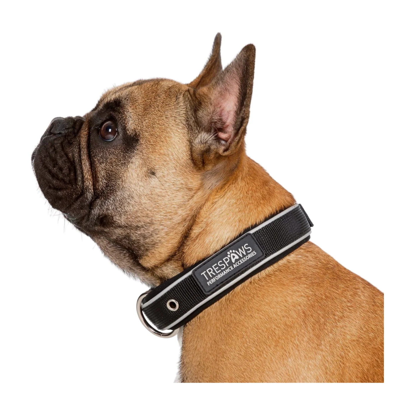 Trespaws Keira Dog Collar - Image 8