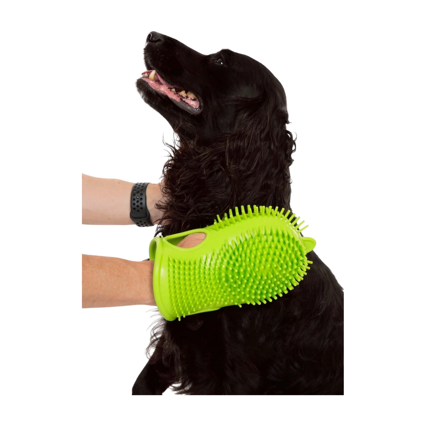 Trespaws Mucky Duel Paw Cleaner & Bathing Brush - Lime - OS - Image 6