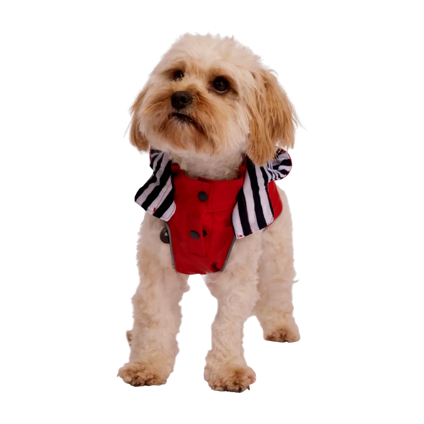 Trespaws Seadog Dog Raincoat - Image 4