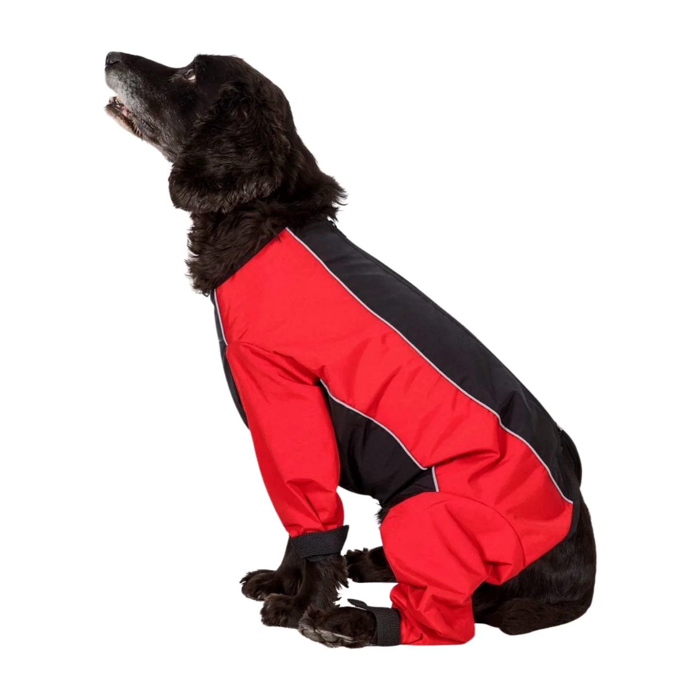Trespaws Tia Dog Raincoat With Legs - Image 4